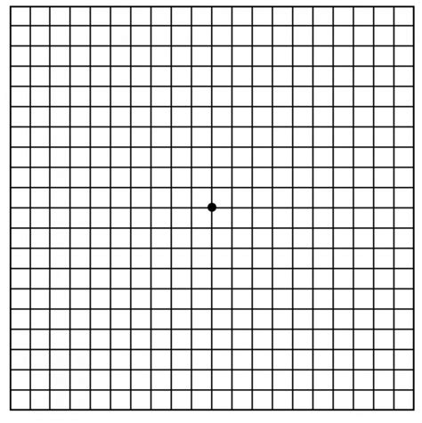 Amsler Grid Eye Test .